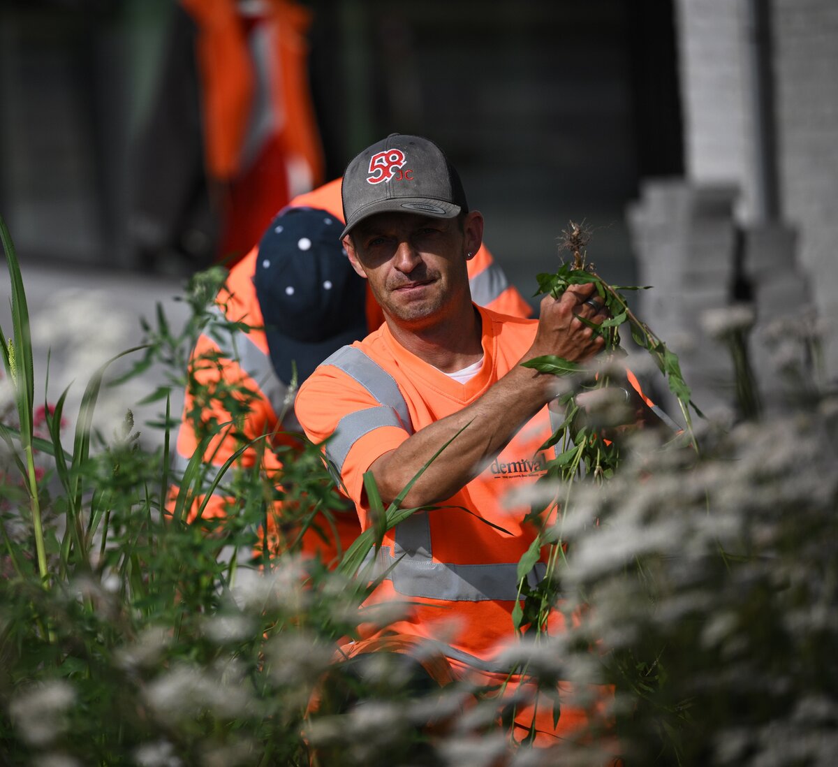 collega is aan het wieden in openbaar groen