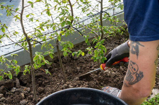 foto's die aanpak van de groendienst illustreert