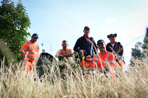 foto's die aanpak van de groendienst illustreert